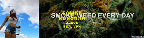спиды Няндома