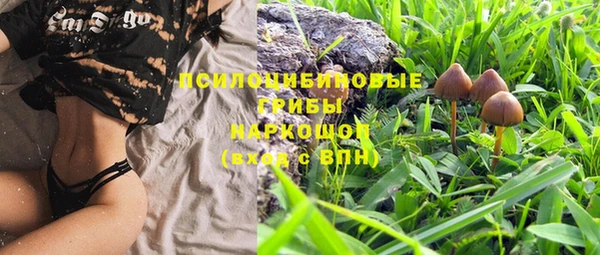 бутират Нягань