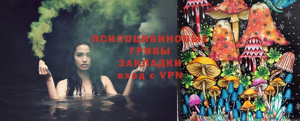 бутират Нягань