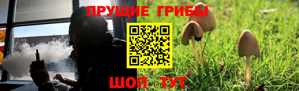 Галлюциногенные грибы мицелий  Вход с VPN  закладки  Фрязино 