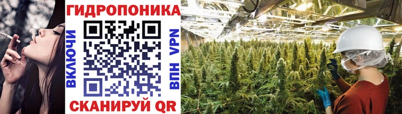 Бошки Шишки Bruce Banner  hydra как зайти  Фрязино  даркнет сайт 